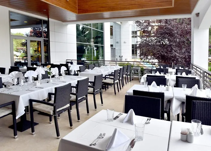 Hotel Flamingo Grand & 5*