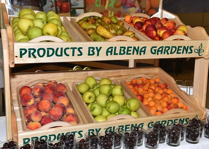 Hotel Flamingo Grand &