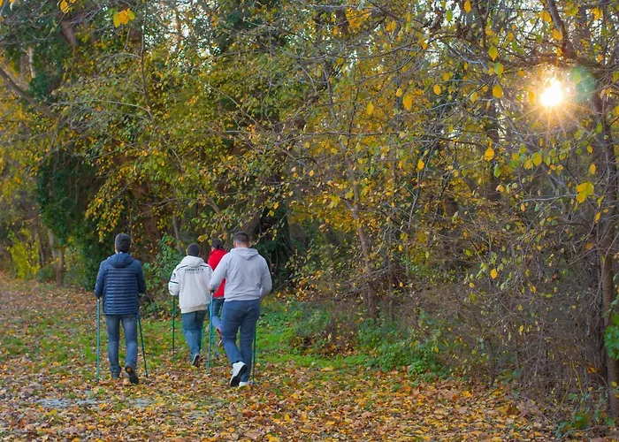 Flamingo Grand & Hotel