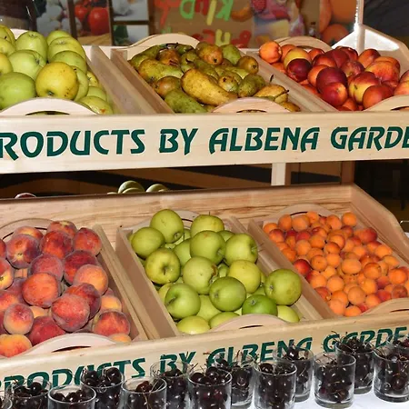 Hotel Flamingo Grand &