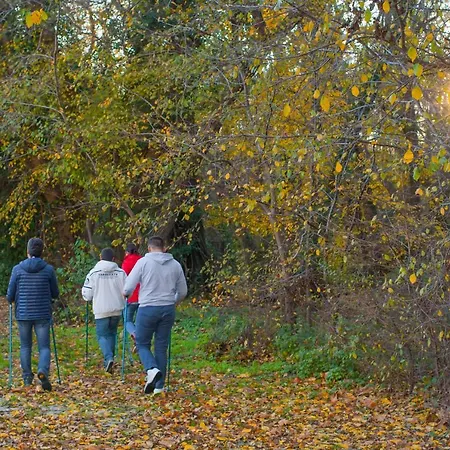 Flamingo Grand & Ξενοδοχείο