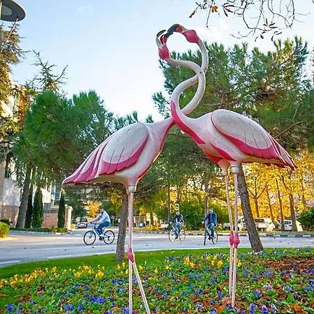 Hotel Flamingo Grand &